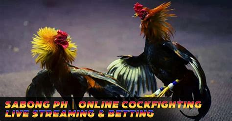 online betting cockfighting - Sabong Online .